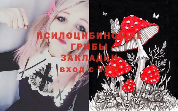 СК Алексеевка