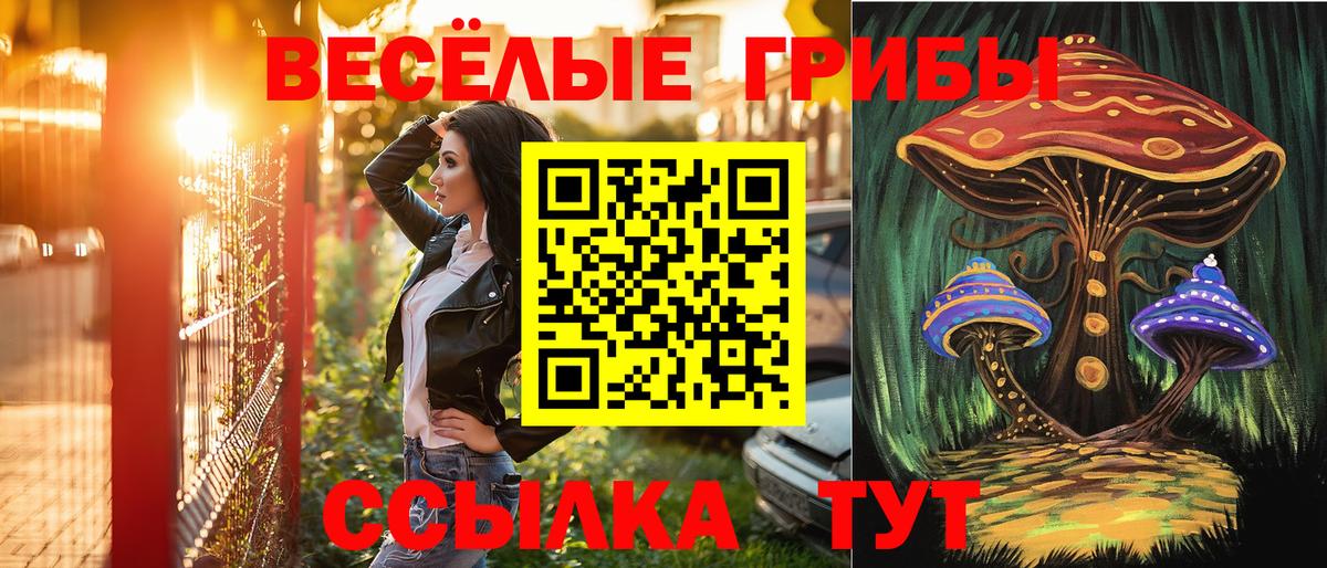 Псилоцибиновые грибы GOLDEN TEACHER  Псилоцибиновые грибы мухоморы  Вход с VPN  Борзя 