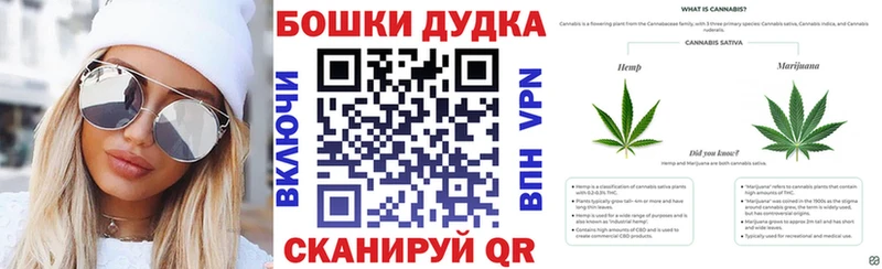 Канабис гибрид  Борзя 